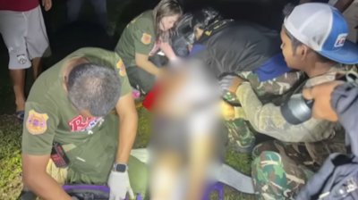 半夜上廁所遇野生大象！　泰87歲阿公「內臟爆裂」遭活活踩死