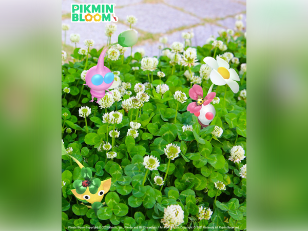 ▲▼皮克敏。（圖／翻攝自Threads／Pikmin Bloom 中文官方帳號）