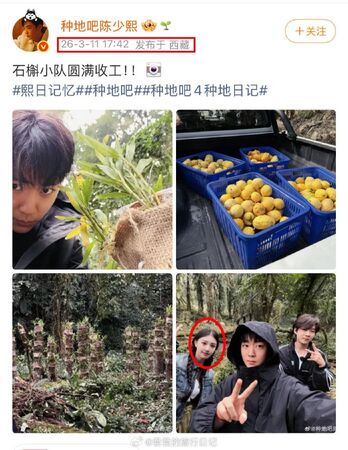 ▲▼《延禧》番外王鶴潤酸同行又被抓包說謊。（圖／翻攝自微博）