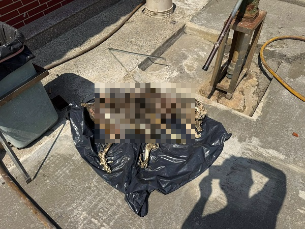 ▲（圖／翻攝自Facebook／社團法人新竹縣流浪動物珍愛協會）