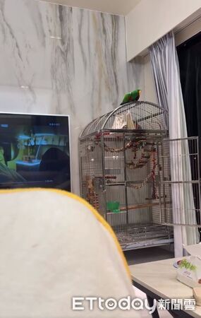 ▲。（圖／Threads@chichuangwu提供，請勿隨意翻拍，以免侵權。）