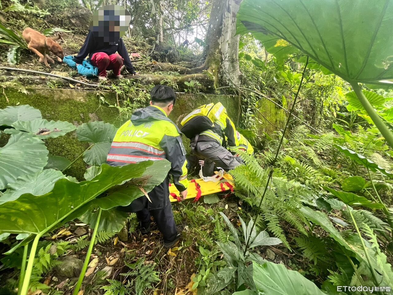 花蓮婦種山蘇跌山坡「全身痛無法動彈」 警消擔架抬下山送醫
