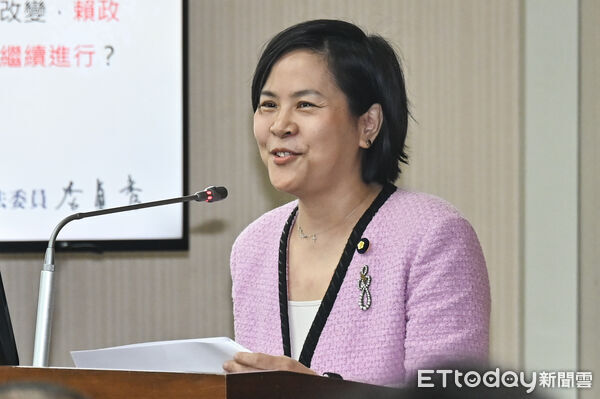 ▲▼立委李貞秀首度於內政委員會質詢。（圖／記者李毓康攝）
