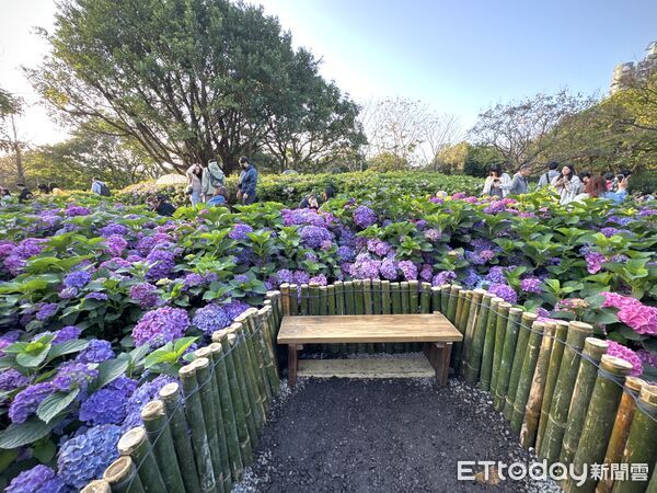 ▲大安森林公園「2026台北杜鵑花季」。（圖／記者彭懷玉攝）