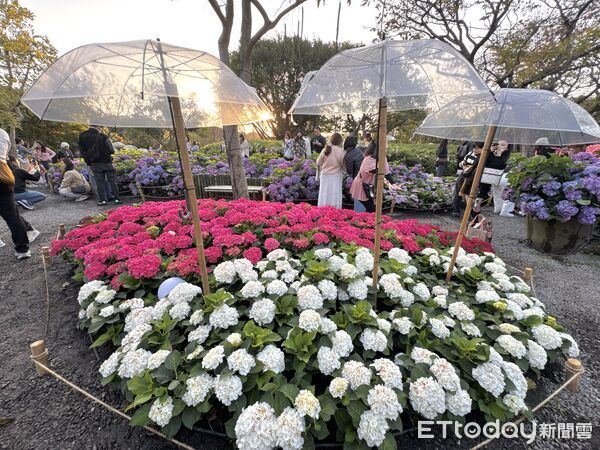 ▲大安森林公園「2026台北杜鵑花季」。（圖／記者彭懷玉攝）
