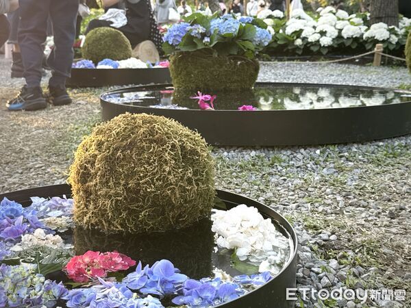 ▲大安森林公園「2026台北杜鵑花季」。（圖／記者彭懷玉攝）