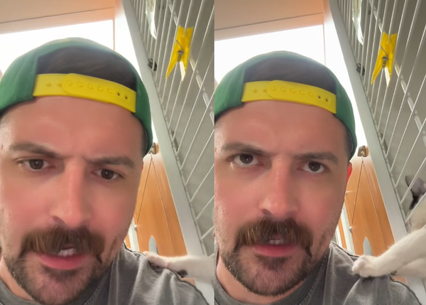 男在動物收容所猶豫　突被小貓「拍肩搭訕」指名：這奴才我要了。（圖／翻攝自TikTok／mariomirante）