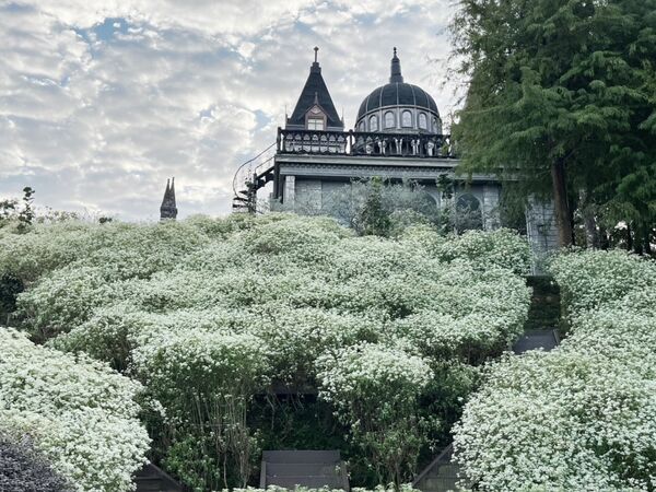 ▲▼愛麗絲的天空專業攝影基地。（圖／滿分的旅遊札記授權提供）