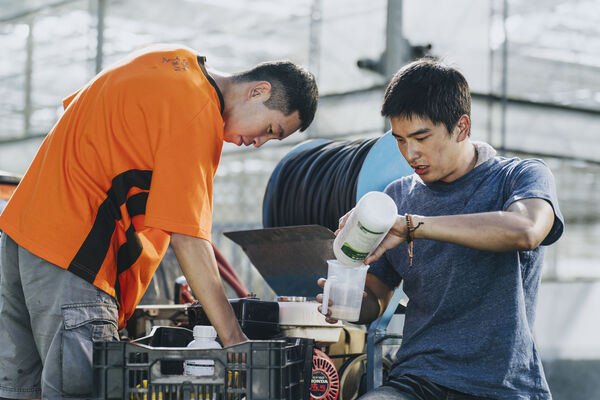 ▲電影《失樂園》主視覺曝光。（圖／冬候鳥電影、文策院提供）