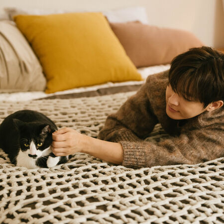 ▲▼ 炎亞綸推出新歌〈家庭會議〉，炎亞綸MV化身獨居男子領養老貓！。（圖／晴空鳥提供）