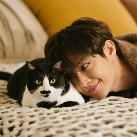 ▲▼ 炎亞綸MV化身獨居男子領養老貓。（圖／晴空鳥提供）