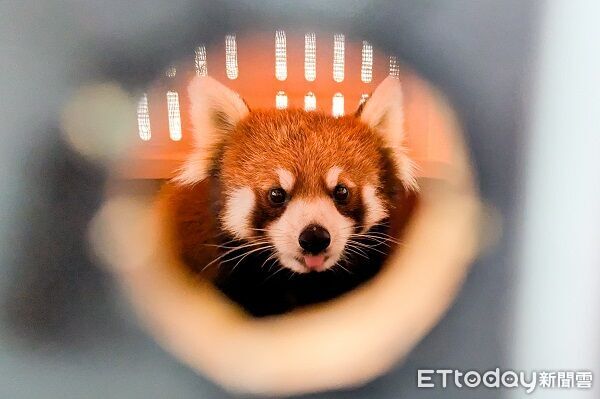 ▲。（圖／臺北市立動物園提供）
