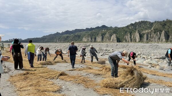 ▲台東推動稻草蓆覆蓋強化卑南溪防塵。（圖／記者楊晨東翻攝）