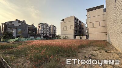 跟進台積電！建商1.6億整合公園首排地　推案單價估35萬起