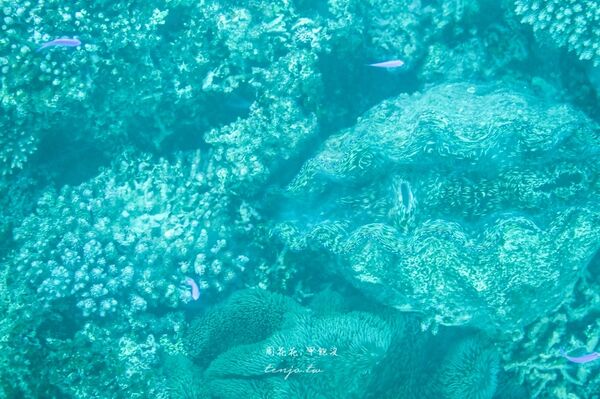 ▲▼川平灣玻璃船。（圖／部落客周花花授權提供）