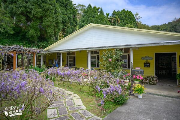 ▲▼阿喜紫藤。（圖／部落客滿分的旅遊札記授權提供）