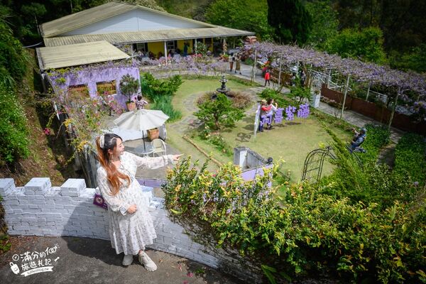 ▲▼阿喜紫藤。（圖／部落客滿分的旅遊札記授權提供）
