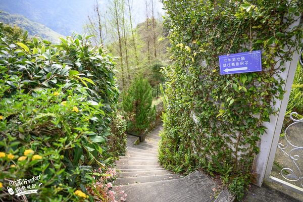 ▲▼阿喜紫藤。（圖／部落客滿分的旅遊札記授權提供）