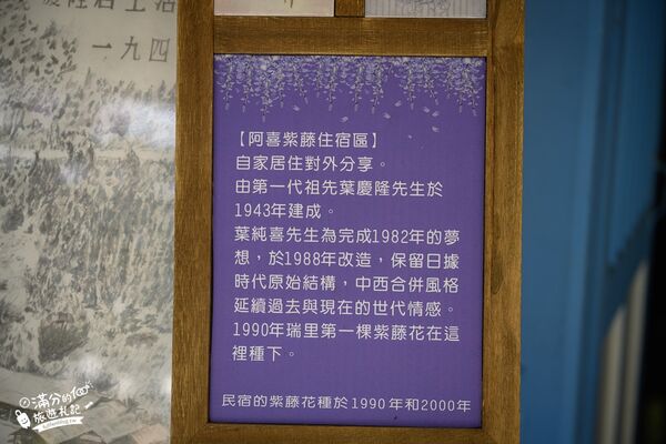 ▲▼阿喜紫藤。（圖／部落客滿分的旅遊札記授權提供）
