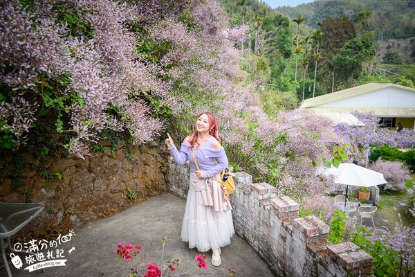 ▲▼阿喜紫藤。（圖／部落客滿分的旅遊札記授權提供）