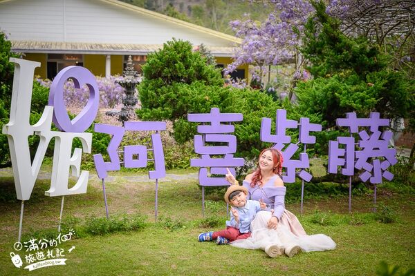 ▲▼阿喜紫藤。（圖／部落客滿分的旅遊札記授權提供）