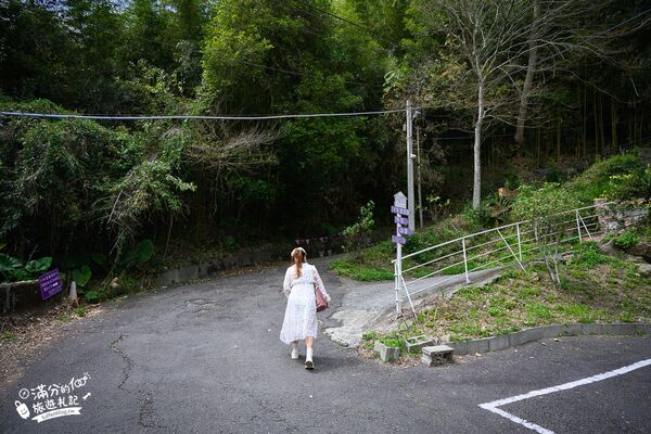 ▲▼阿喜紫藤。（圖／部落客滿分的旅遊札記授權提供）