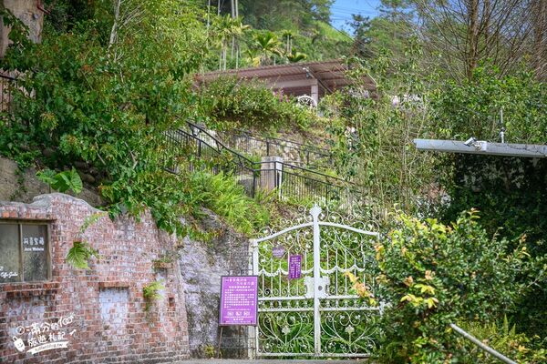 ▲▼阿喜紫藤。（圖／部落客滿分的旅遊札記授權提供）