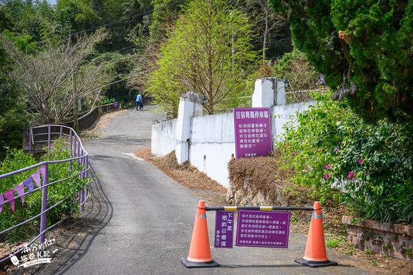 ▲▼阿喜紫藤。（圖／部落客滿分的旅遊札記授權提供）