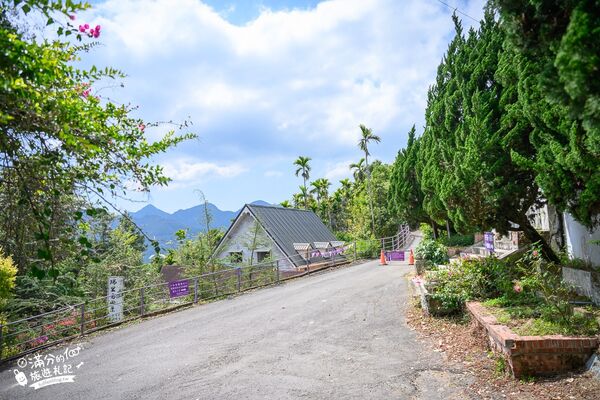 ▲▼阿喜紫藤。（圖／部落客滿分的旅遊札記授權提供）