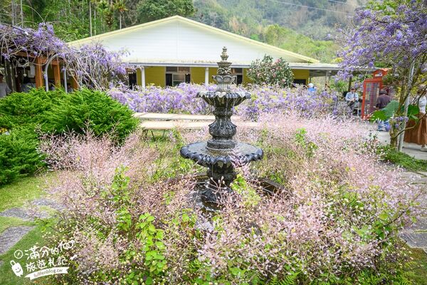 ▲▼阿喜紫藤。（圖／部落客滿分的旅遊札記授權提供）