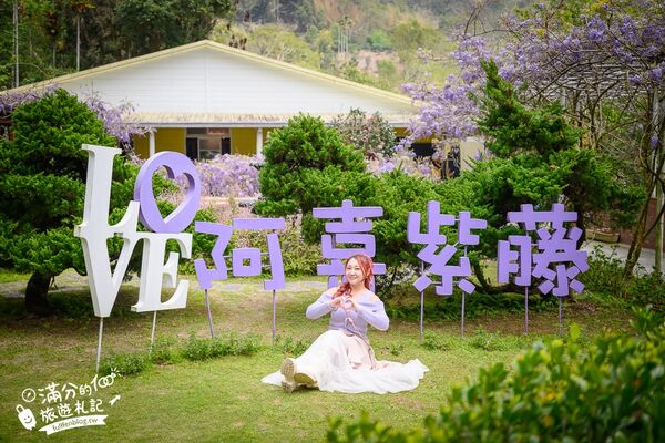 ▲▼阿喜紫藤。（圖／部落客滿分的旅遊札記授權提供）