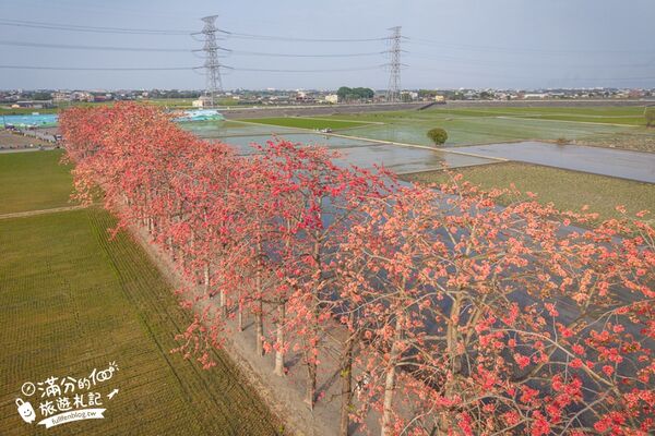 ▲▼竹塘木棉花道。（圖／部落客滿分的旅遊札記授權提供）
