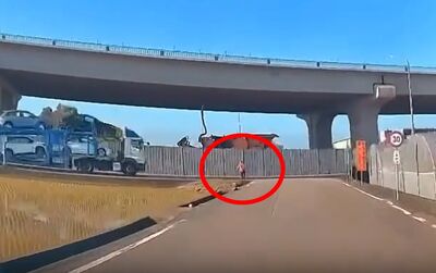 桃園離奇死亡車禍　路邊女「2秒衝車道」遭撞飛趴地…出院後猝逝