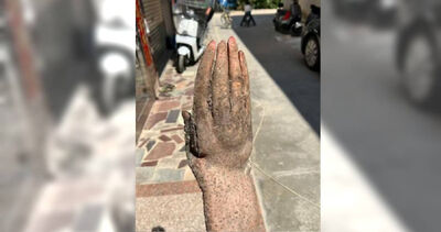 菜園挖出「異形淮山」！酷似人手還有指甲　出價3.7萬收購遭拒