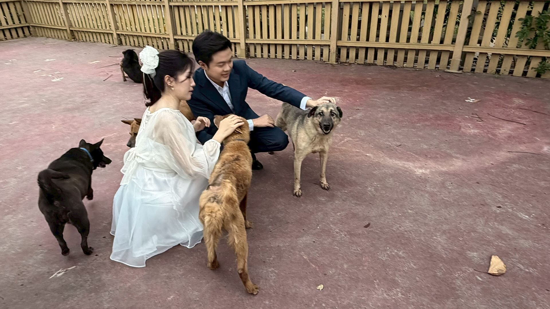 ▲「黑貓紅線」牽起13年情緣　攜手走過動保之路：用紅色炸彈延續愛。（圖／新北市動物保護防疫處提供。）