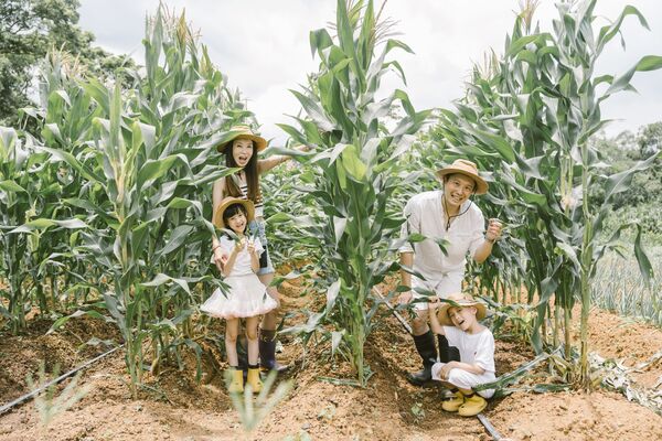 ▲關西六福莊推出「FUN肆快樂玩」住房專案，即日起至4月30日開放預訂，雙人入住6,999元＋10%起，並加碼免費招待1名3至12歲兒童入住。（圖／業者提供）