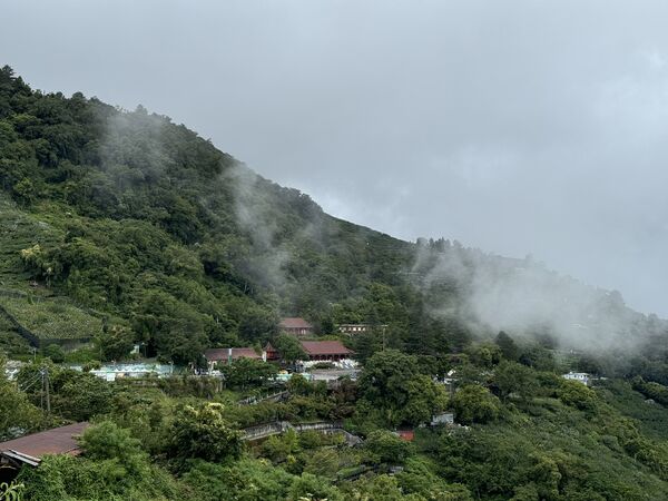 ▲梨山賓館與4-6月福壽山農場、武陵農場花卉。（圖／梨山賓館提供）