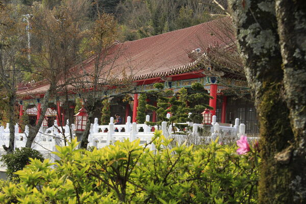 ▲梨山賓館與4-6月福壽山農場、武陵農場花卉。（圖／梨山賓館提供）