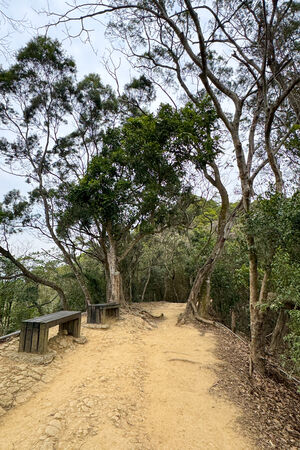 ▲▼大坑6號步道。（圖／部落客飛天璇的口袋授權提供）