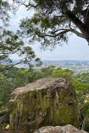 ▲▼大坑6號步道。（圖／部落客飛天璇的口袋授權提供）