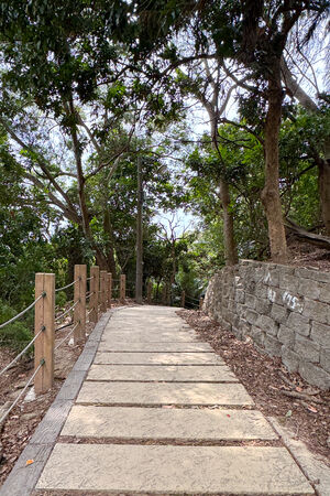 ▲▼大坑6號步道。（圖／部落客飛天璇的口袋授權提供）