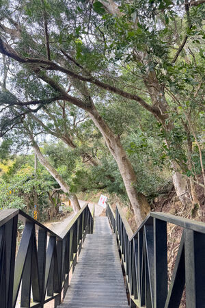 ▲▼大坑6號步道。（圖／部落客飛天璇的口袋授權提供）