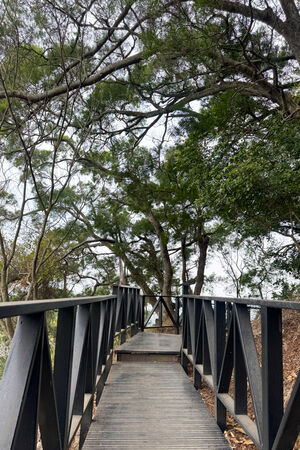 ▲▼大坑6號步道。（圖／部落客飛天璇的口袋授權提供）