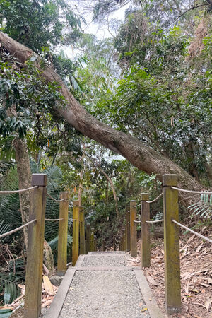 ▲▼大坑6號步道。（圖／部落客飛天璇的口袋授權提供）