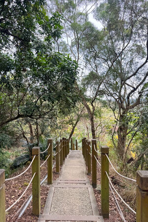 ▲▼大坑6號步道。（圖／部落客飛天璇的口袋授權提供）