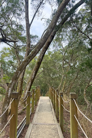 ▲▼大坑6號步道。（圖／部落客飛天璇的口袋授權提供）