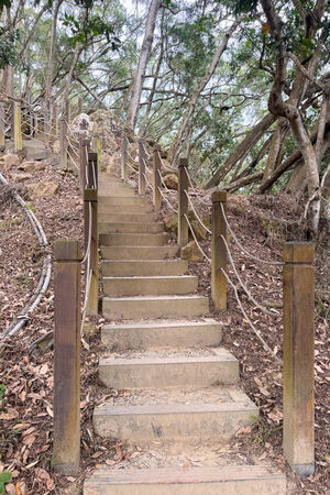 ▲▼大坑6號步道。（圖／部落客飛天璇的口袋授權提供）