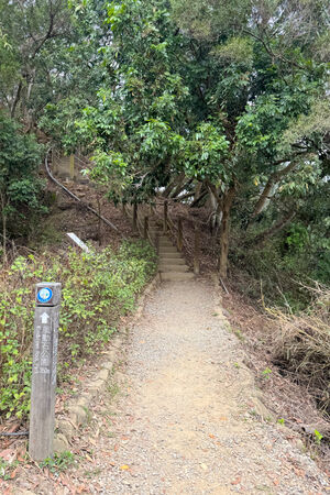 ▲▼大坑6號步道。（圖／部落客飛天璇的口袋授權提供）