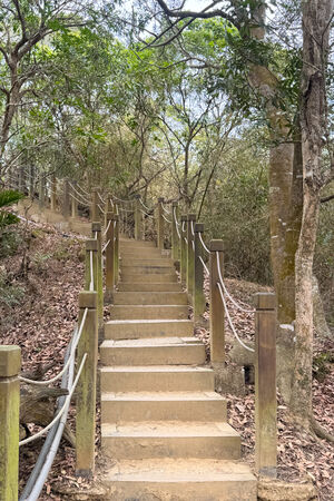 ▲▼大坑6號步道。（圖／部落客飛天璇的口袋授權提供）