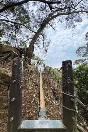 ▲▼大坑6號步道。（圖／部落客飛天璇的口袋授權提供）